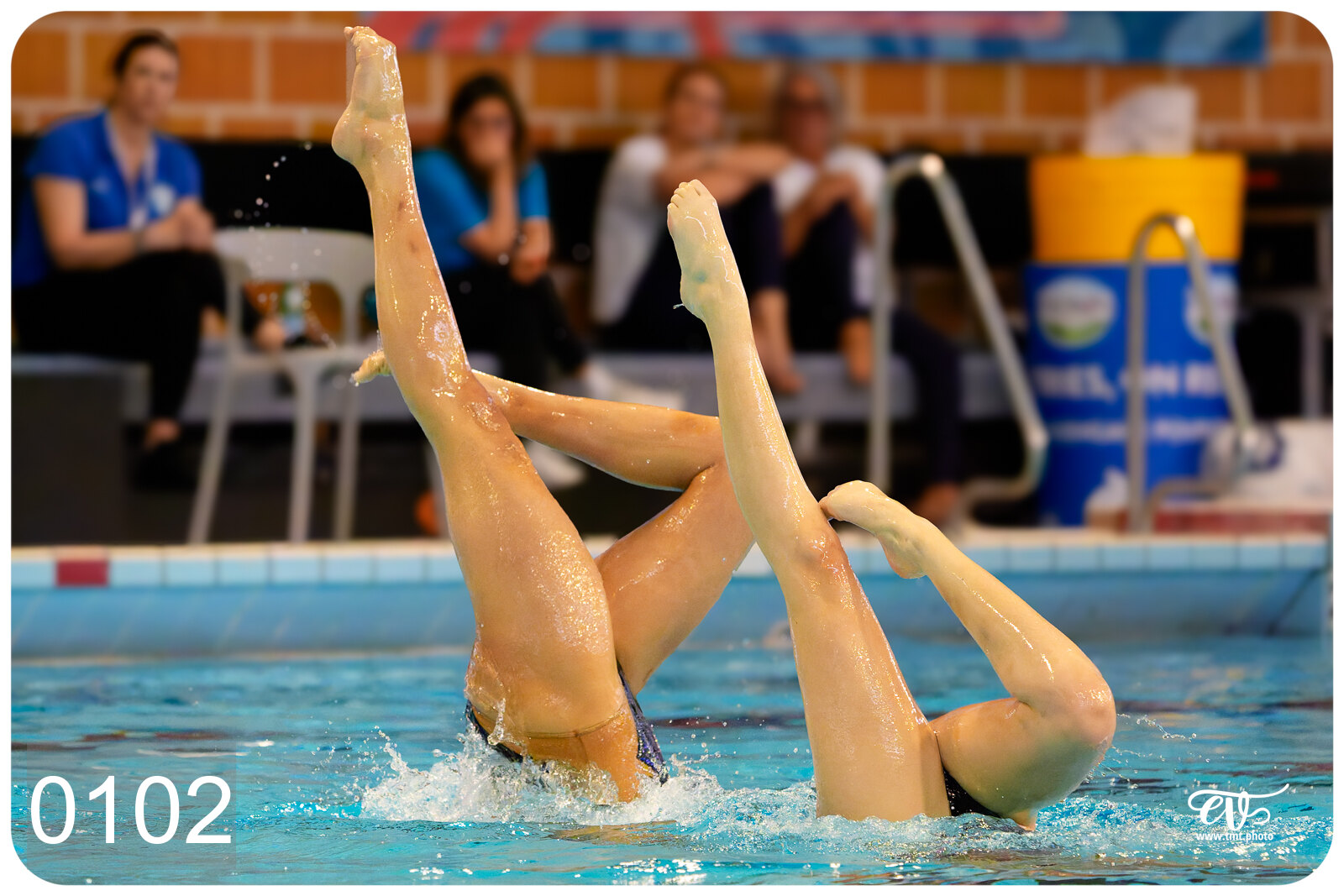 CHAMPIONNAT DE FRANCE DE NATATiON ARTISTIQUE N1 & ELITE 2026